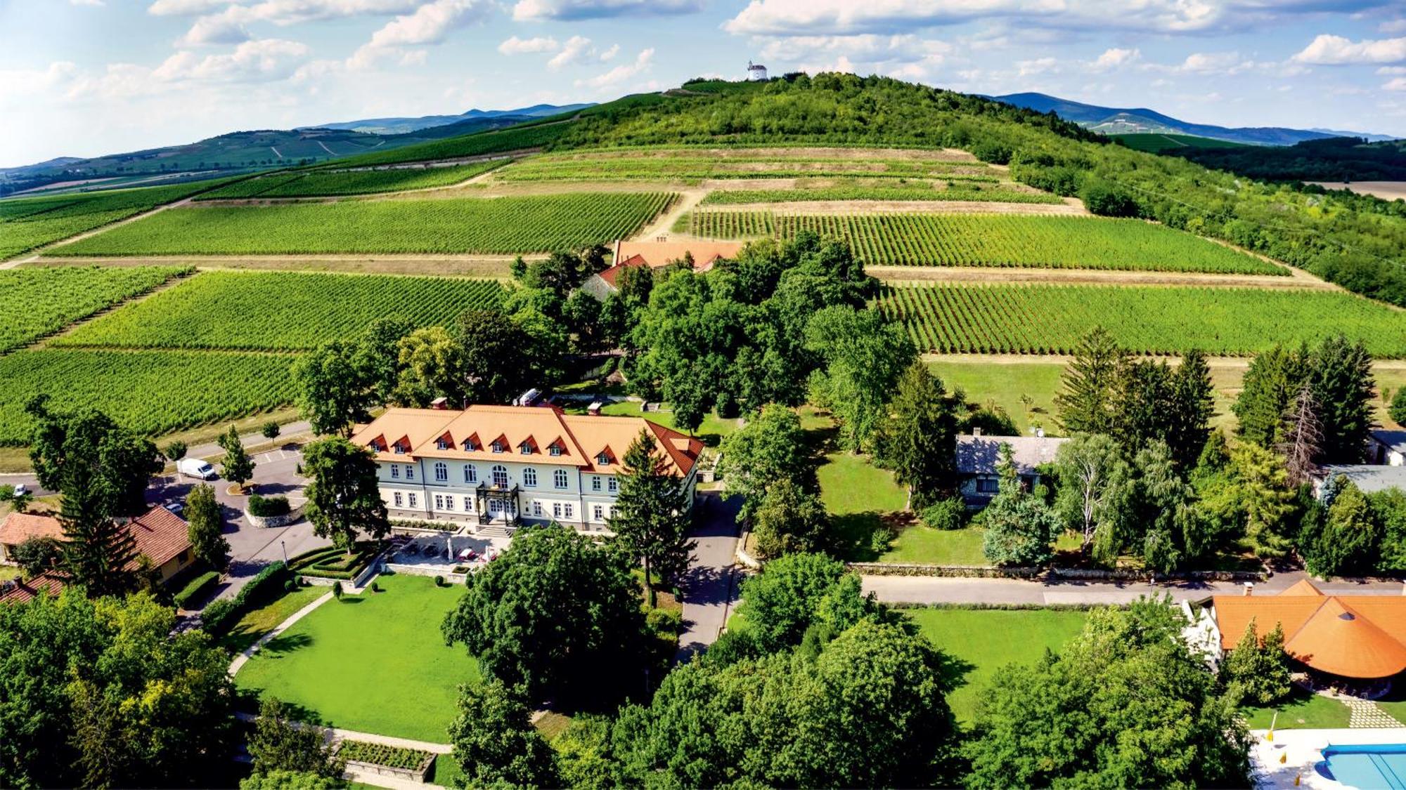Castle Hotel Grof Degenfeld Superior Tarcal Extérieur photo